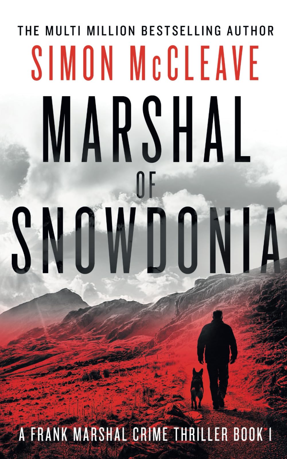 Marshal of Snowdonia: A Frank Marshal Crime Thriller