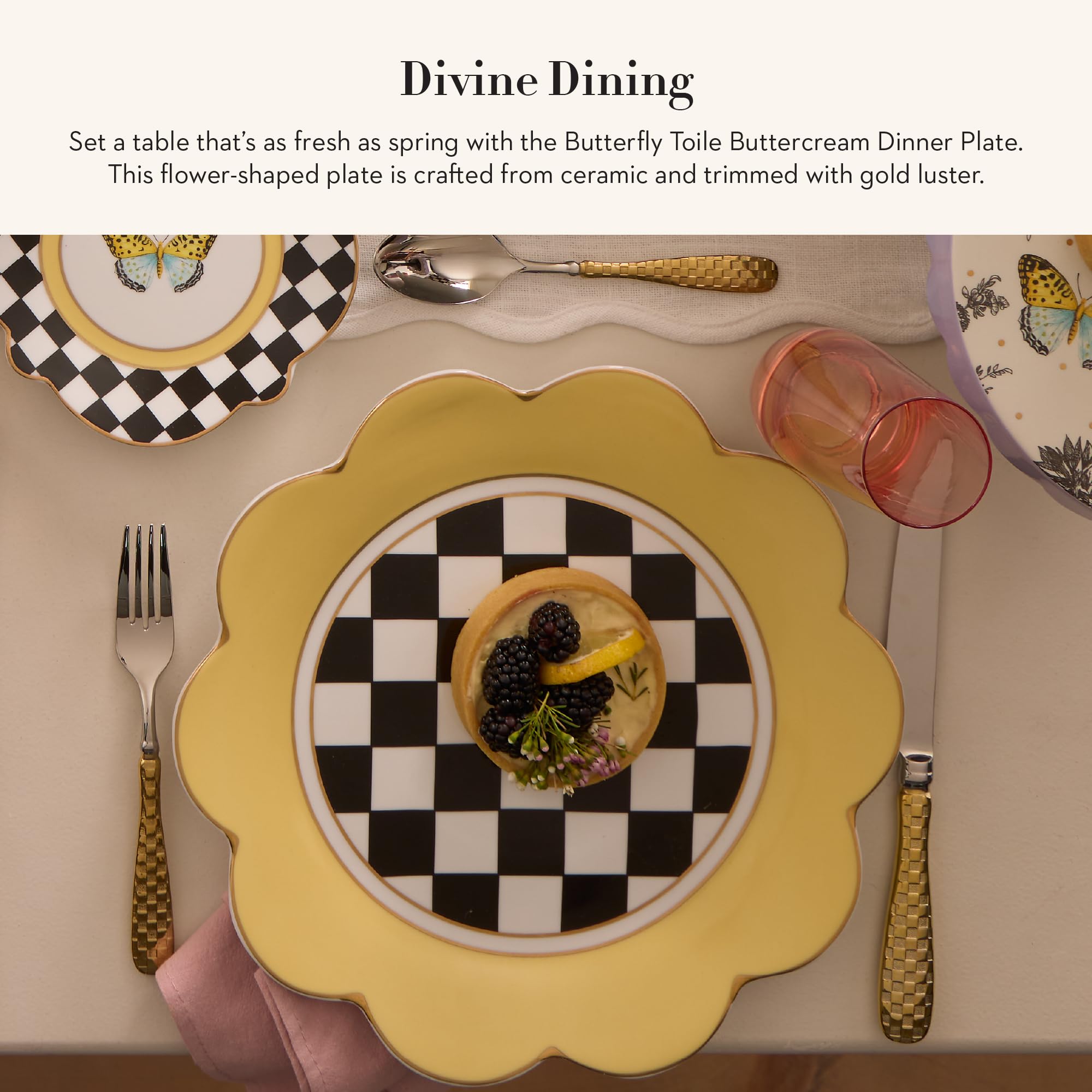 Amazon.com: MacKenzie-Childs: Dinnerware