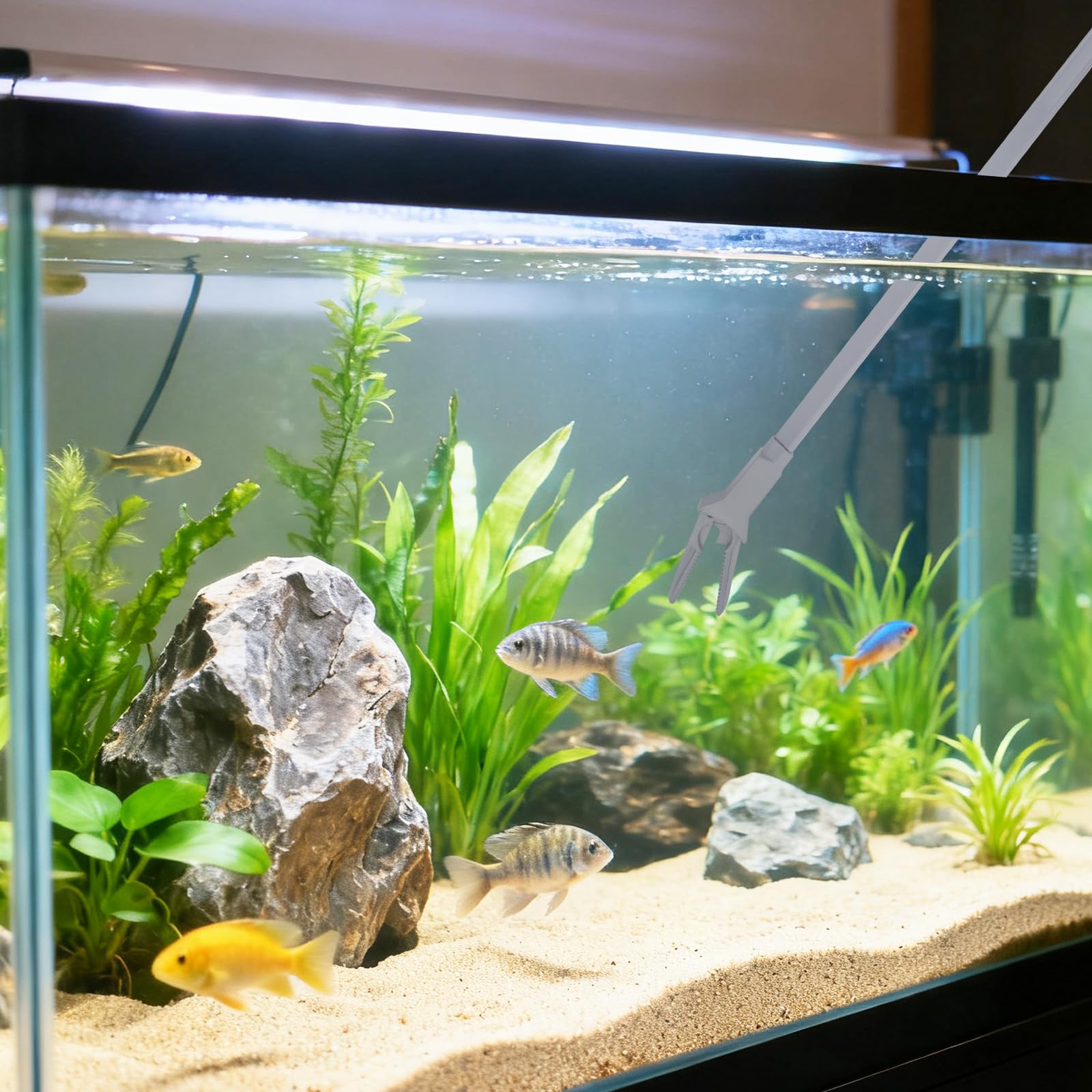 Pinces pour plantes d'aquarium, plastique, 50 cm, entretien plantes aquatiques