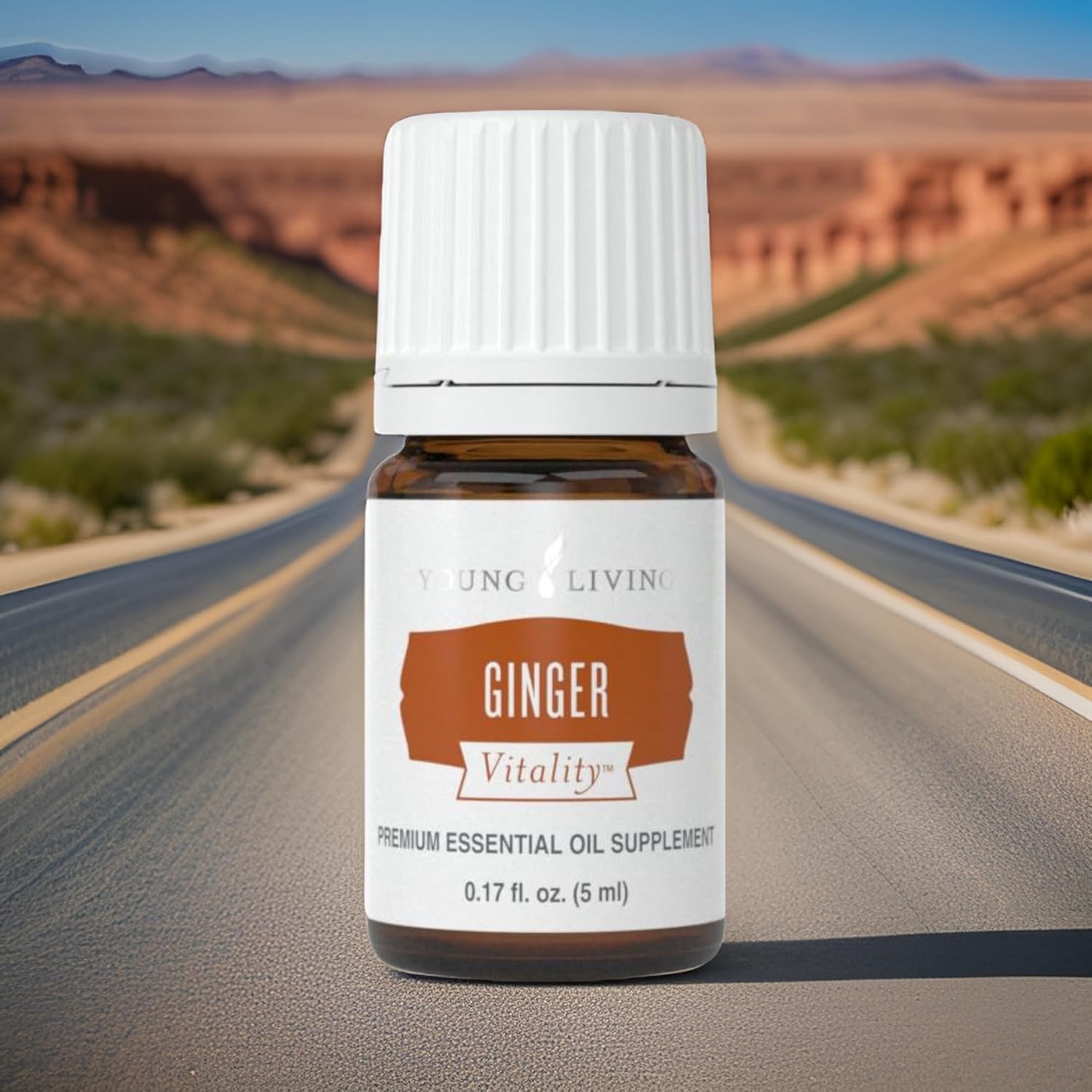 Young Living Ginger Vitality Essential Oil 5ml - Spicy Flavor Enhancer for Sweet and Savory Dishes - Digestive System Support - Culinary Aromatherapy for Cooking