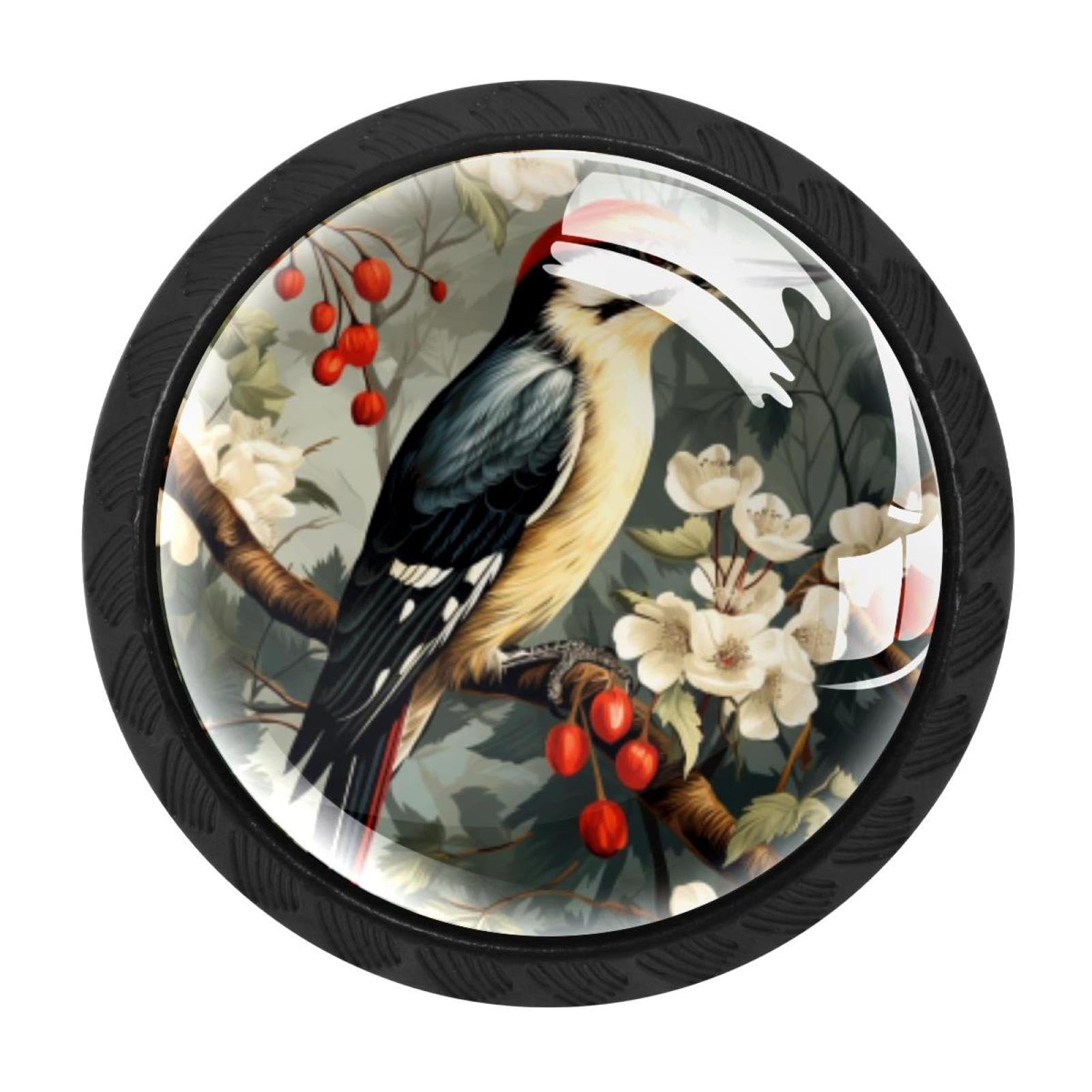 CHENZZZZ Woodpecker Colorful Drawer Pulls 4 Pcs Handle Glass Door Cabinet Knobs Home Office Kitchen Wardrobe Cupboard Hardware for Dresser Drawers
