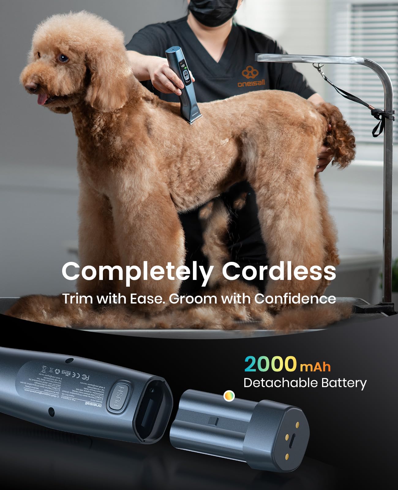 https://m.media-amazon.com/images/I/718RxnCWJRL.jpg