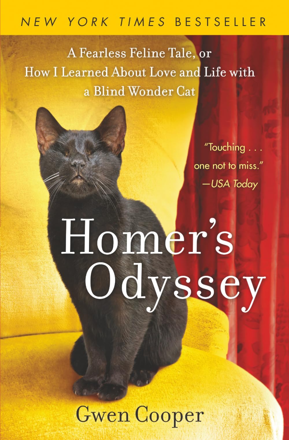 Homer's Odyssey NEW EDITION: A Fearless Feline Tale, or How I Learned About Love and Life with a Blind Wonder Cat (The adventures of Homer!)