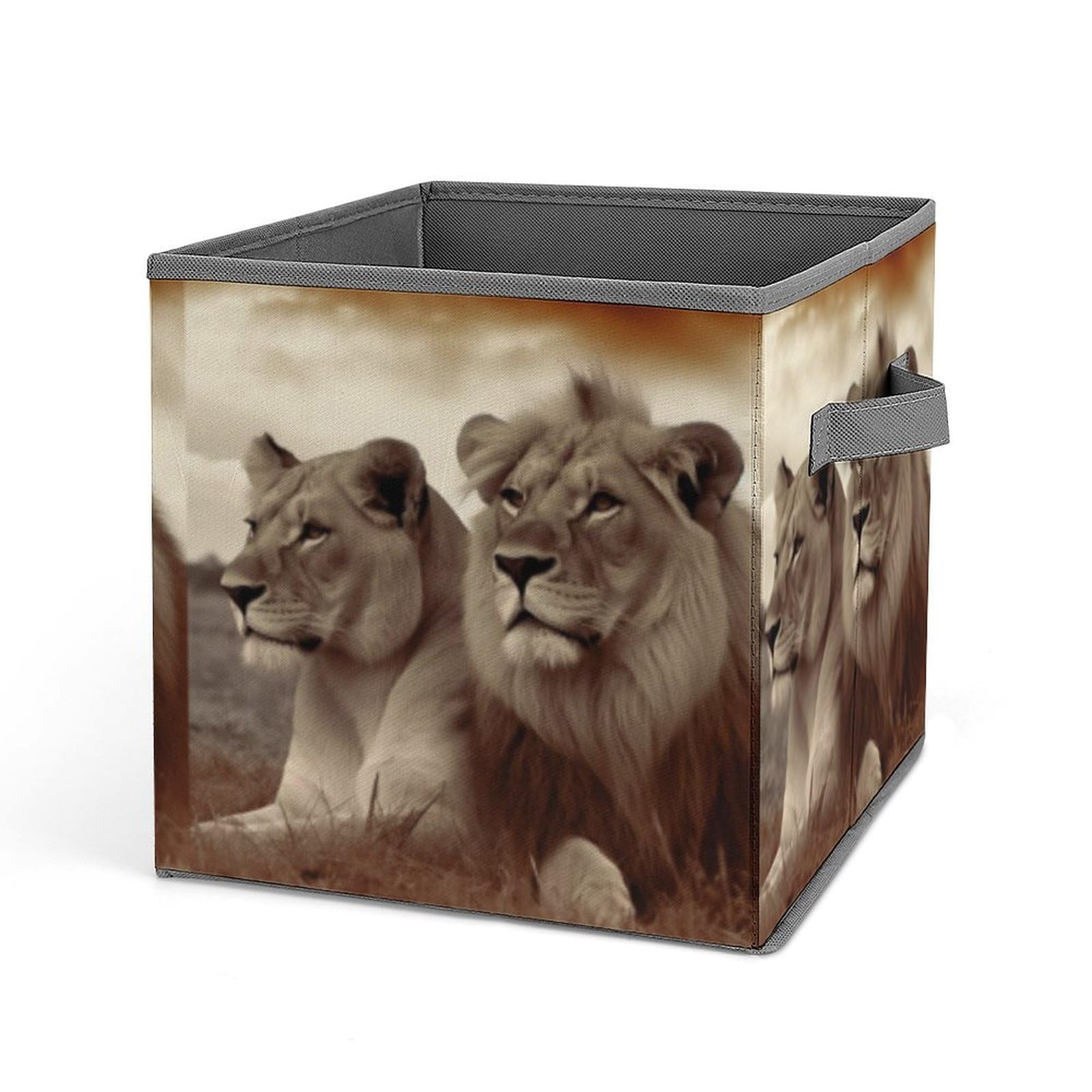 JTREHY African Lion And Lioness Printed Foldable Storage Box, 10.6 Inches Fabric Storage Box for Wardrobe, Bedroom, Utility Room