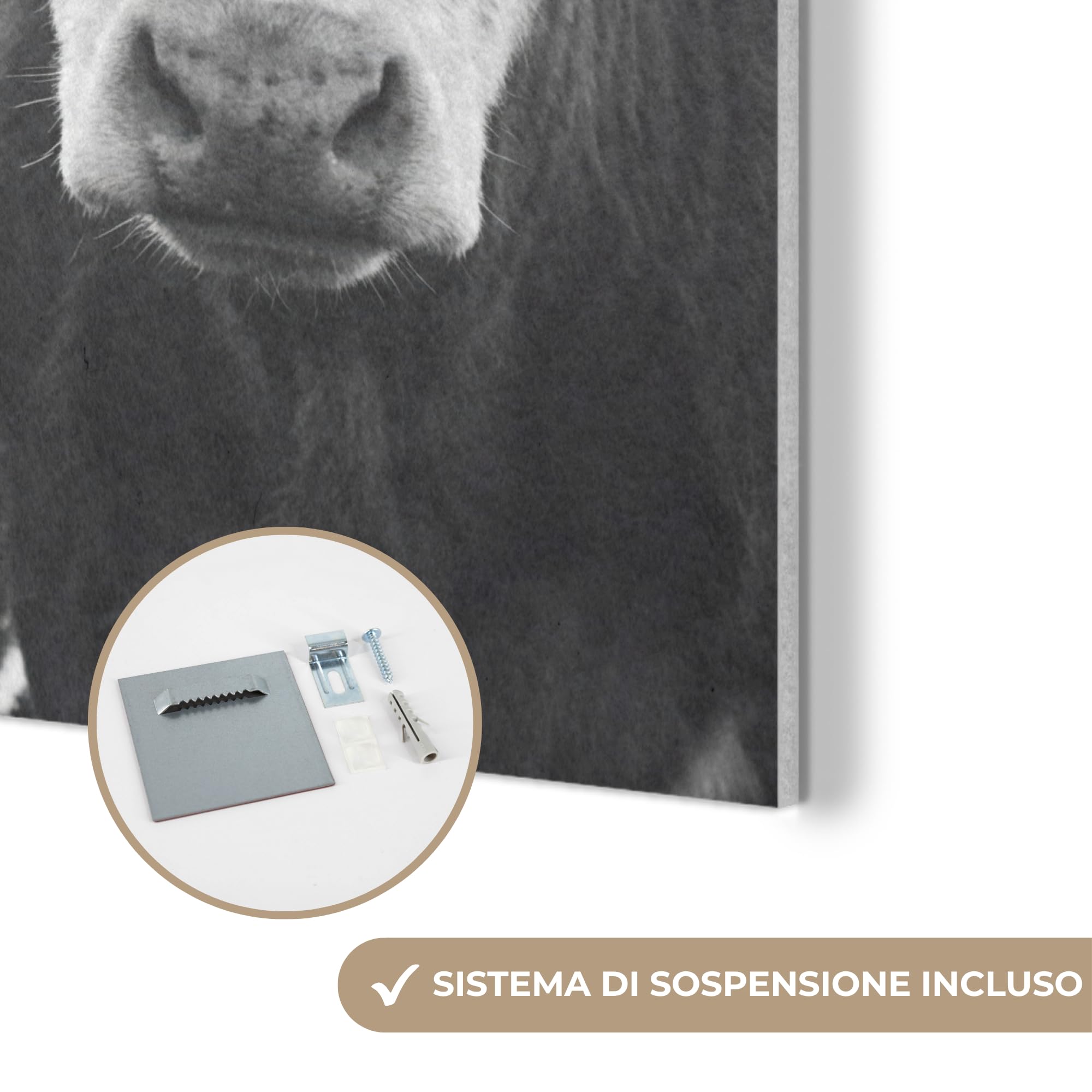 MuchoWow© Creazione Parete 90x90 cm Feltro Moderno Soggiorno Stanza Letto Quadro Cornice Salotto Mucche - Bianco e nero