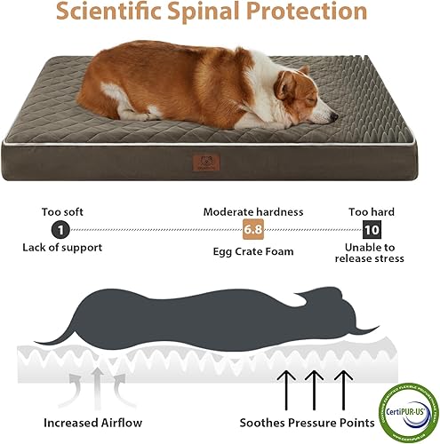 Miniatura 9 de WNPETHOME Camas ortopédicas para perros medianos, cama grande impermeable para perros con funda extraíble lavable y parte inferior antideslizante,