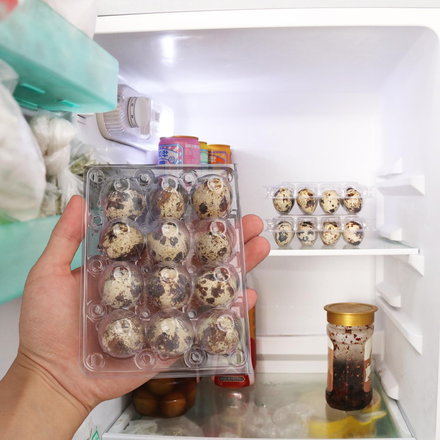 Paquete de 200 cajas de huevos de codorniz, bandejas de plástico transparente para huevos de codorniz, con capacidad para hasta 12 huevos de codorniz de forma segura, tus mejores soportes