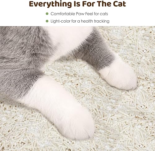 Miniatura 7 de Caja antiadherente de tofu para gatos, mezcla de yuca, arena para gatitos de bajo seguimiento, arena natural biodegradable, control de olores de