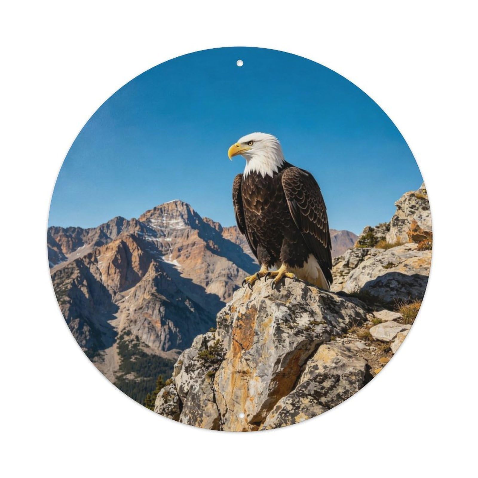 American Bald Eagle Metal Tin Sign Plaque