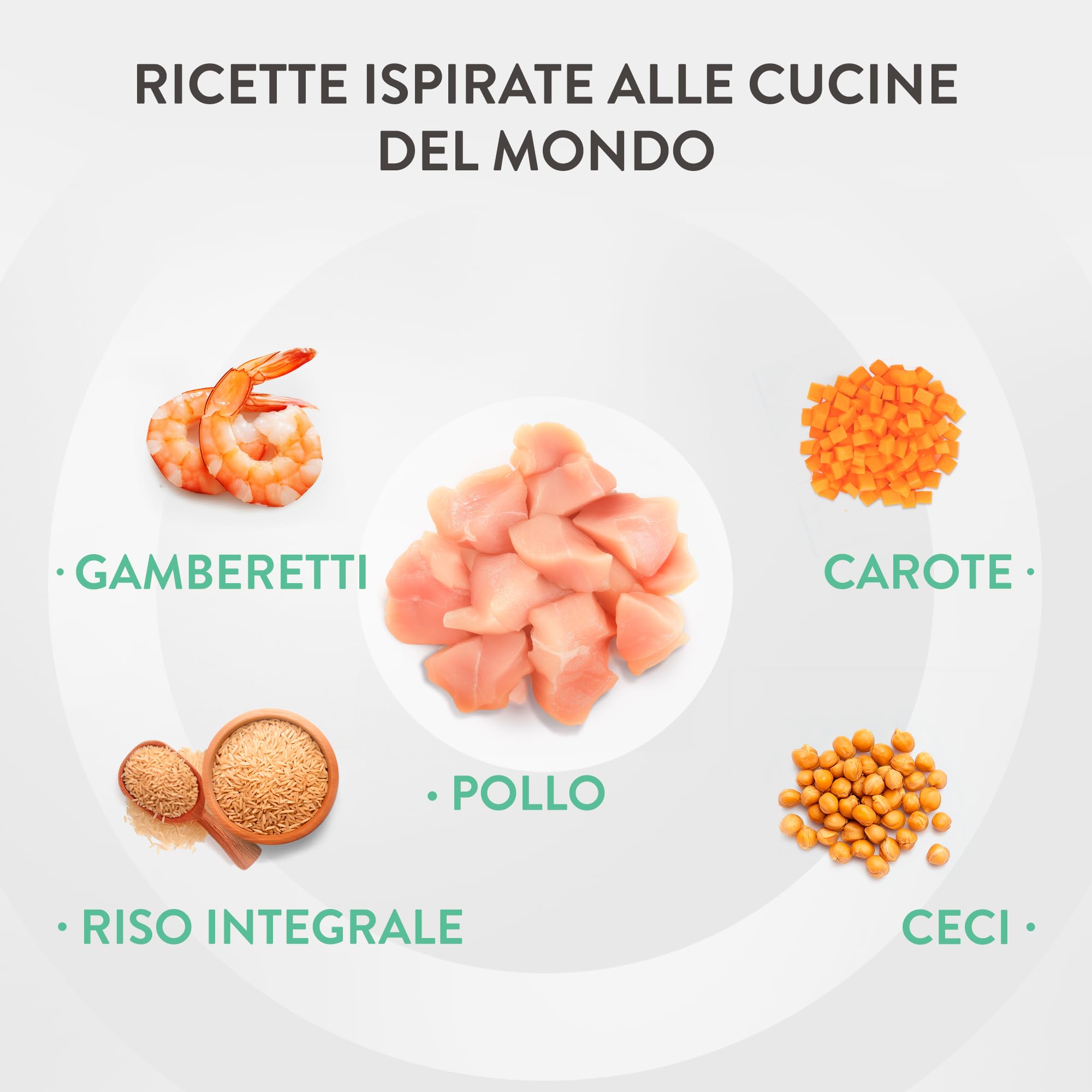 Schesir, Aliments humides pour Chiens Taste The World Poulet Carbonara 8 x 150g