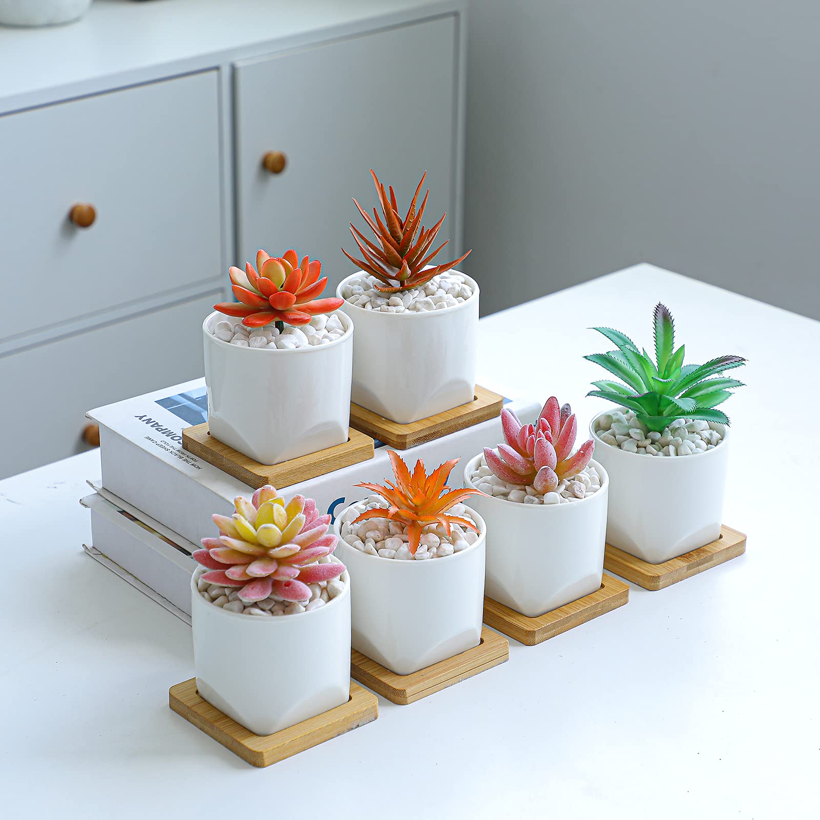 Sukkulenten-Blumentopf Mit Wurzelkontrolle – 7 Cm, Mit Untersetzer, Weiß, Drainage & Belüftung, Für Kakteen & Sukkulenten