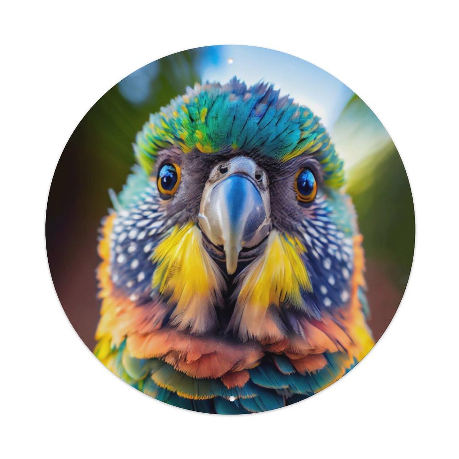Colorful Parrot Bird Tropical Wildlife Portrait Metal Tin Sign