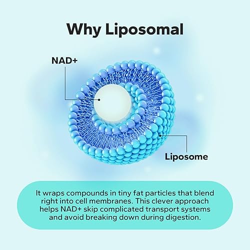 Miniatura 4 de Suplemento liposomal NAD+ de 650 mg, NAD+, complejo de resveratrol y quercetina para energía celular, probado por terceros, alternativa al