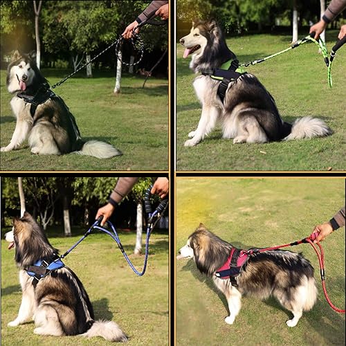 Miniatura 3 de Love Dream Correa para perro de 6 pies de largo con 2 cómodas asas acolchadas, hilos reflectantes con doble asa para control de seguridad, correa de