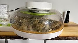 Review Image by Glua14 Glua14