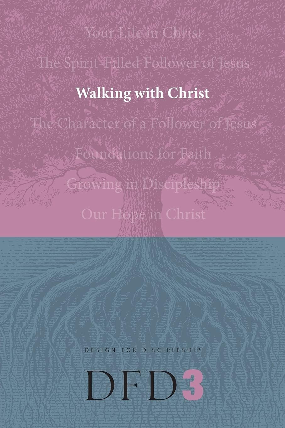 Walking with Christ: 3 (DFD Design For Discipleship, 3)