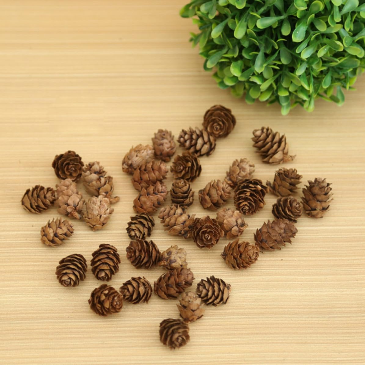 DOITOOL 210 Piezas Piñas Secas Naturales de 2-3 Cm para Adornos Navideños y Manualidades, Decoración para Árbol de Navidad y Acción de Gracias Forma Vegetal Auténtica