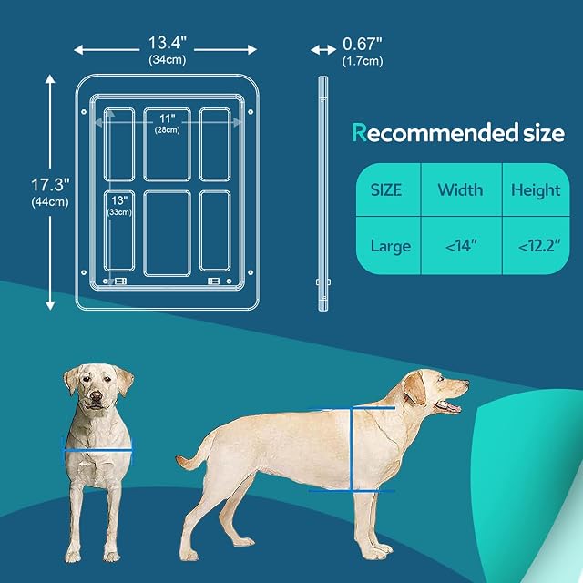 Foto 5 de 7 de PETCUTE Puerta para Perros y Gatos, Durable, Abrir y Cerrar sin Problemas