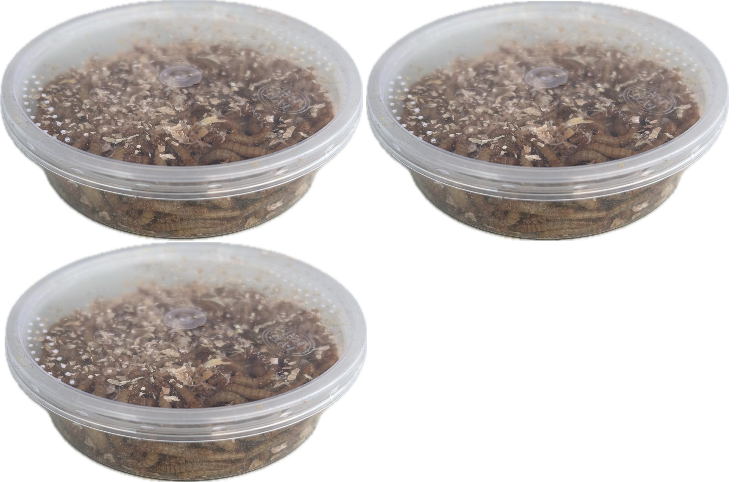 Livefood UK Live Mealworms Regular size Letterbox pack (3 x 30g) will fit through standard letterbox
