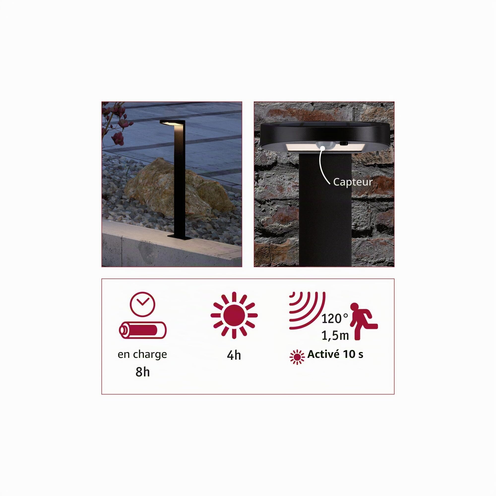 Paulmann 94249 Ryse Luminaire d'extérieur LED solaire avec 1 x 1,2 W anthracite plastique 3000 K blanc chaud 1,2 W