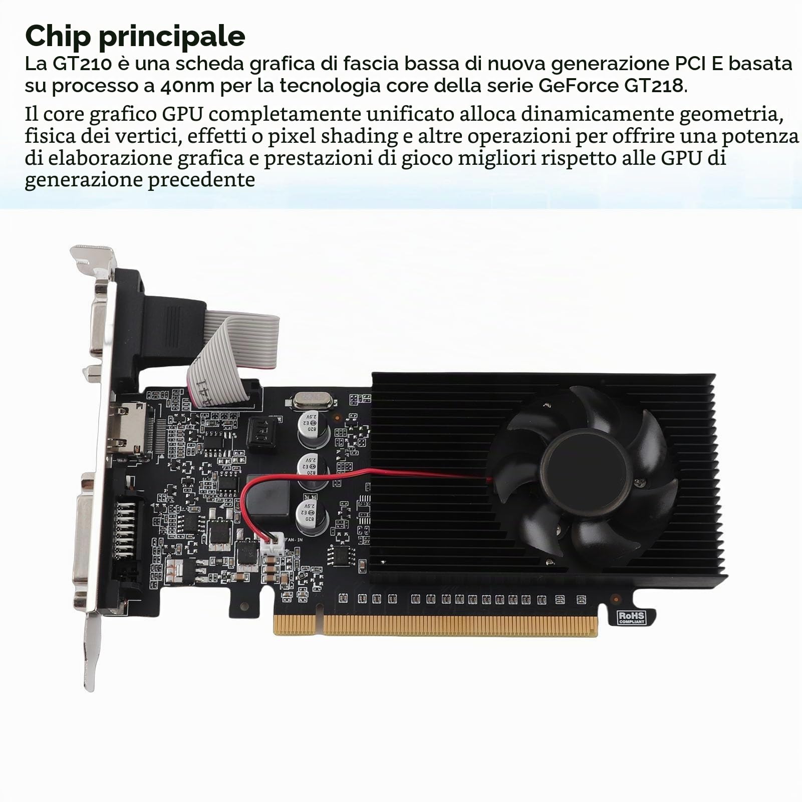 Bewinner Scheda Grafica, Scheda Grafica DDR3 a 64 Bit da 1 GB, Scheda Video 589 MHz 1000 MHz 2560x1600, HDMI DVI VGA PCI Express 2.0, Scheda Grafica per Computer per L'editing