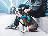 Ver la foto 6