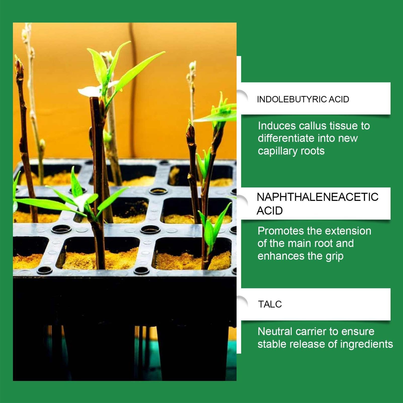 Revitalizador del suelo | nutrientes para el crecimiento de las plantas | Promotor del crecimiento de raíces - Para jardineros, agricultores, cultivadores, paisajistas, patios, granjas, huertos