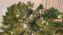 Review Image by Dan Dan