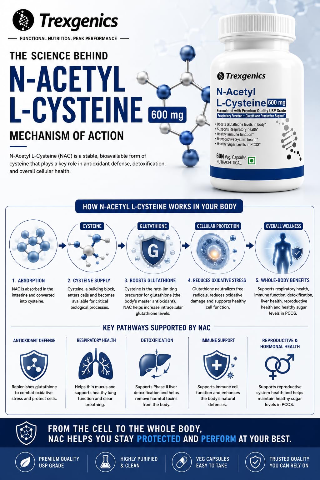 Trexgenics N-ACETYL L-CYSTEINE 600 mg Respiratory Health, Glutathione Production, Immunity, (60 Veg. Capsules) (Pack of 1) 3