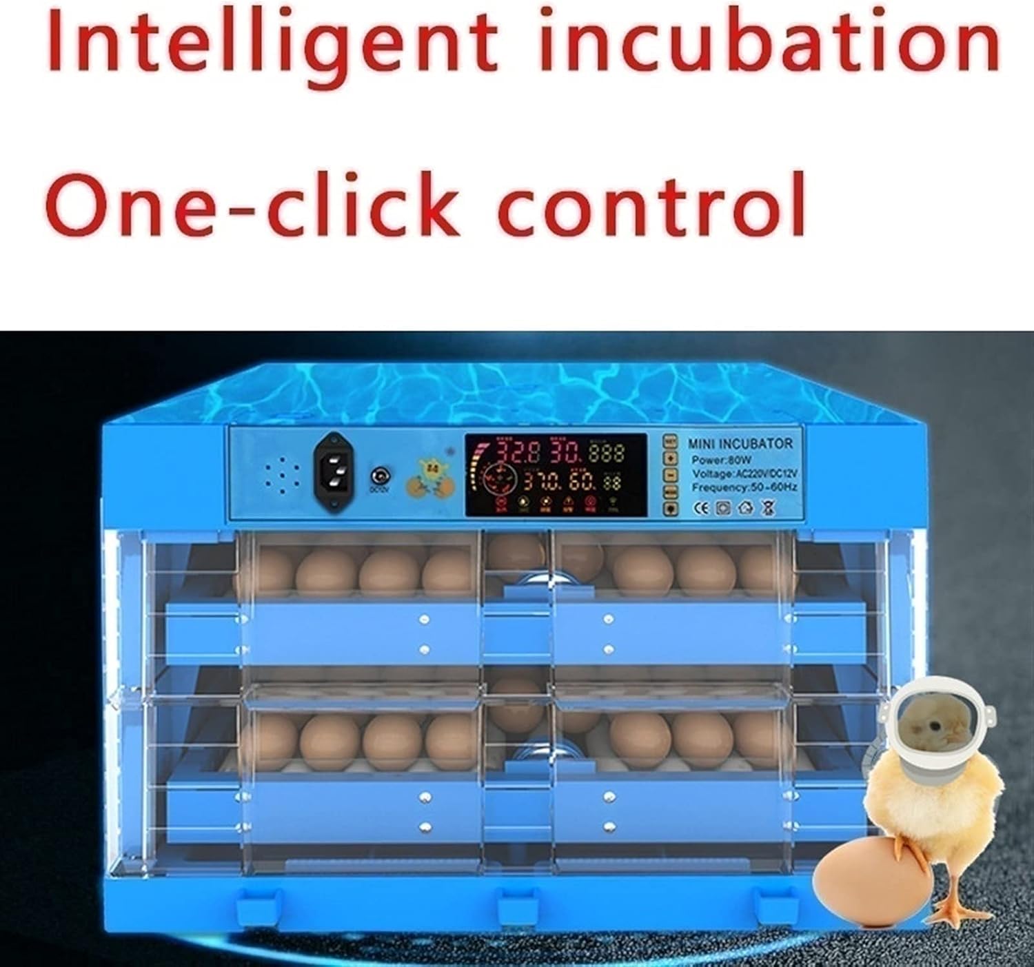 Incubatrice Digitale Termostatico con Rotazione Automatica dell'incubatrice a 64 cifre(Single Power Supply)