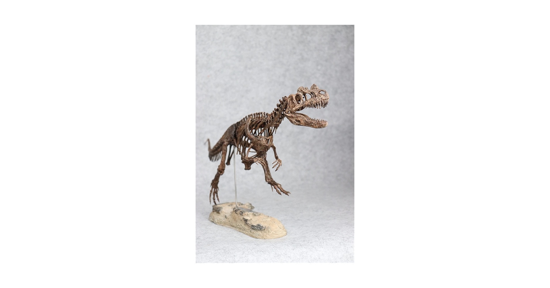 718SkMLsqFL.jpg_BO30,255,255,