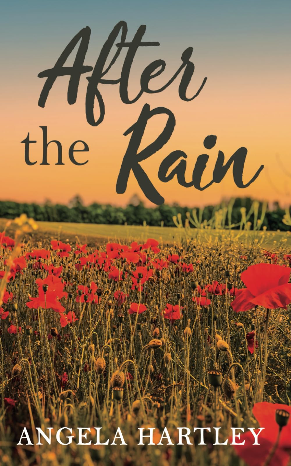 After the Rain