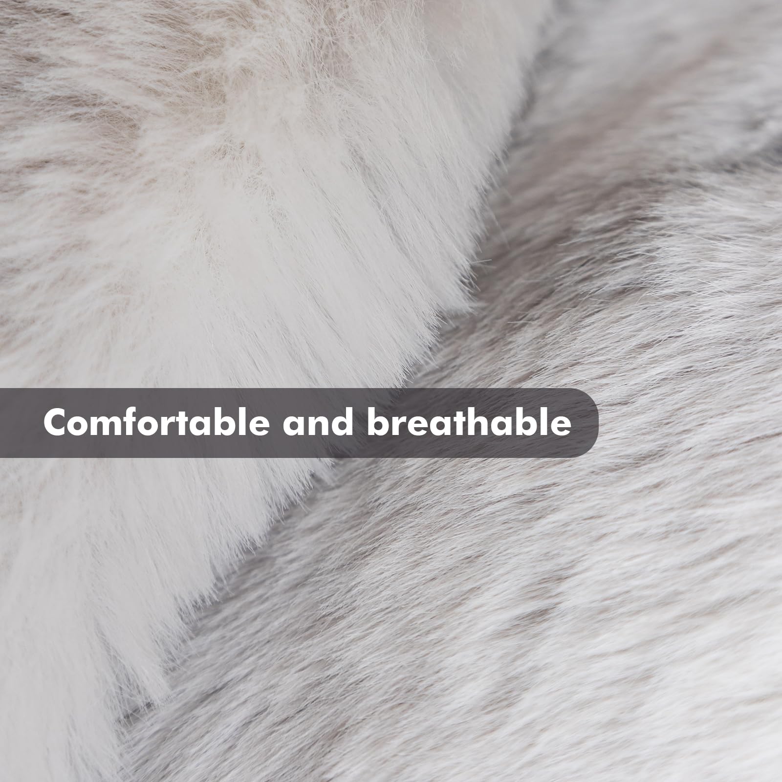 View 4