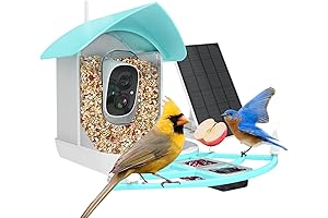 Smart Bird Feeder with Camera: A Crystal-Clear Window into Your Backyard Bird Sanctuary