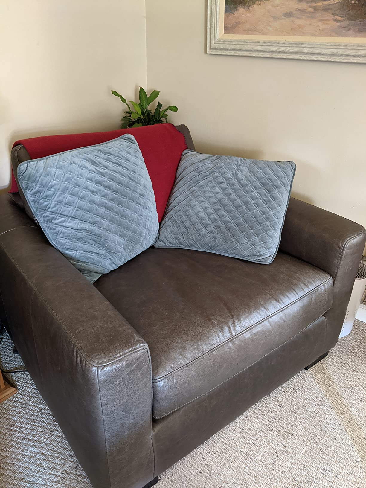 51/mo Finance Amazon Brand Stone & Beam Westview ExtraDeep Down