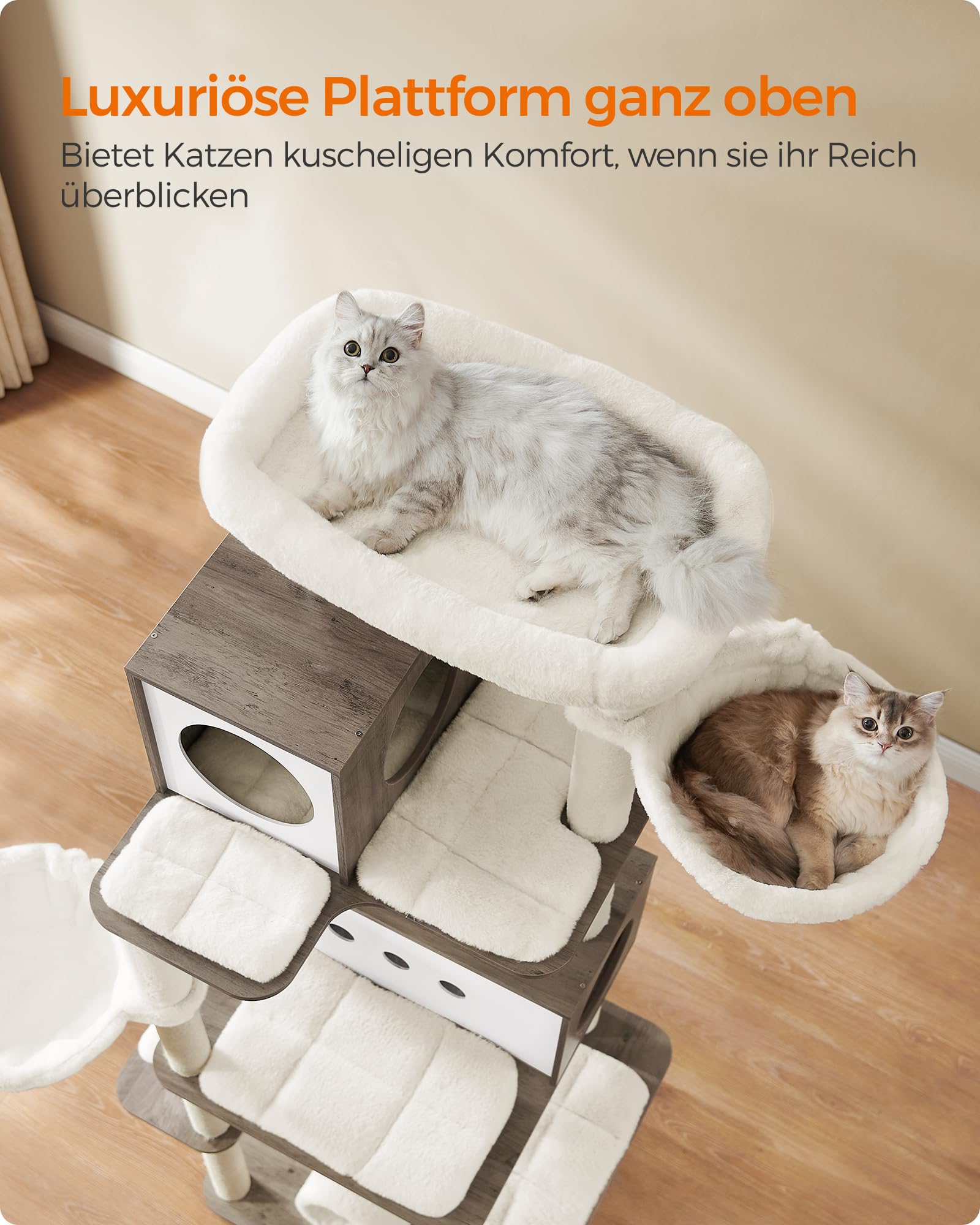 katzenstreu fein wie sand WOOWOOD Klumpendes Bio-Katzenstreu aus Holz [100 % Natrlich]  pflan
