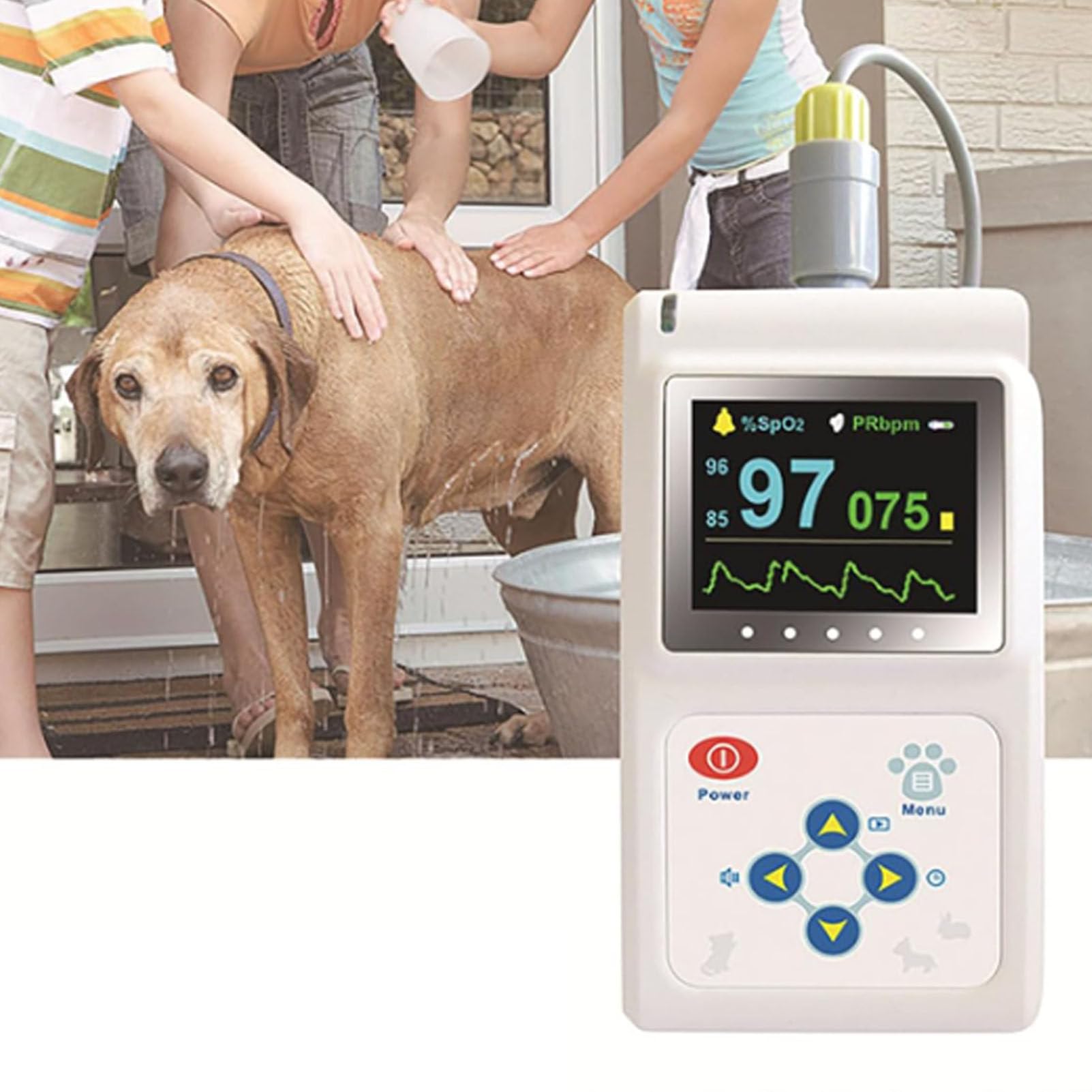 Veterinär-Pulsoximeter, Handgerät für Katzen und Hunde, Verwendung in Familien- und Tierkliniken, Pulsfrequenzüberwachung mit Pulsfrequenz-Zunge/Ohr-SPO2-Sonde