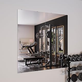 53"x26" 2-Pack Full Length Glassless Shatterproof Gym Mirror for Home Wall