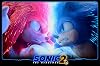Sonic the Hedgehog 2 [DVD]