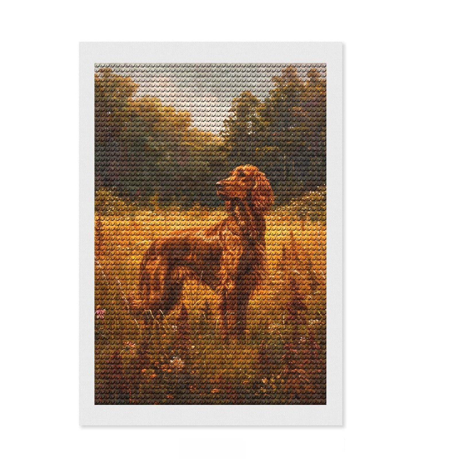 Junmoney Vintage Irish Setter Dog DIY Diamond Art Canvas Kit 8"x12", for Teens, Full Kit Included, Cosy Home Accent, Birthday Gift, Printed Canvas