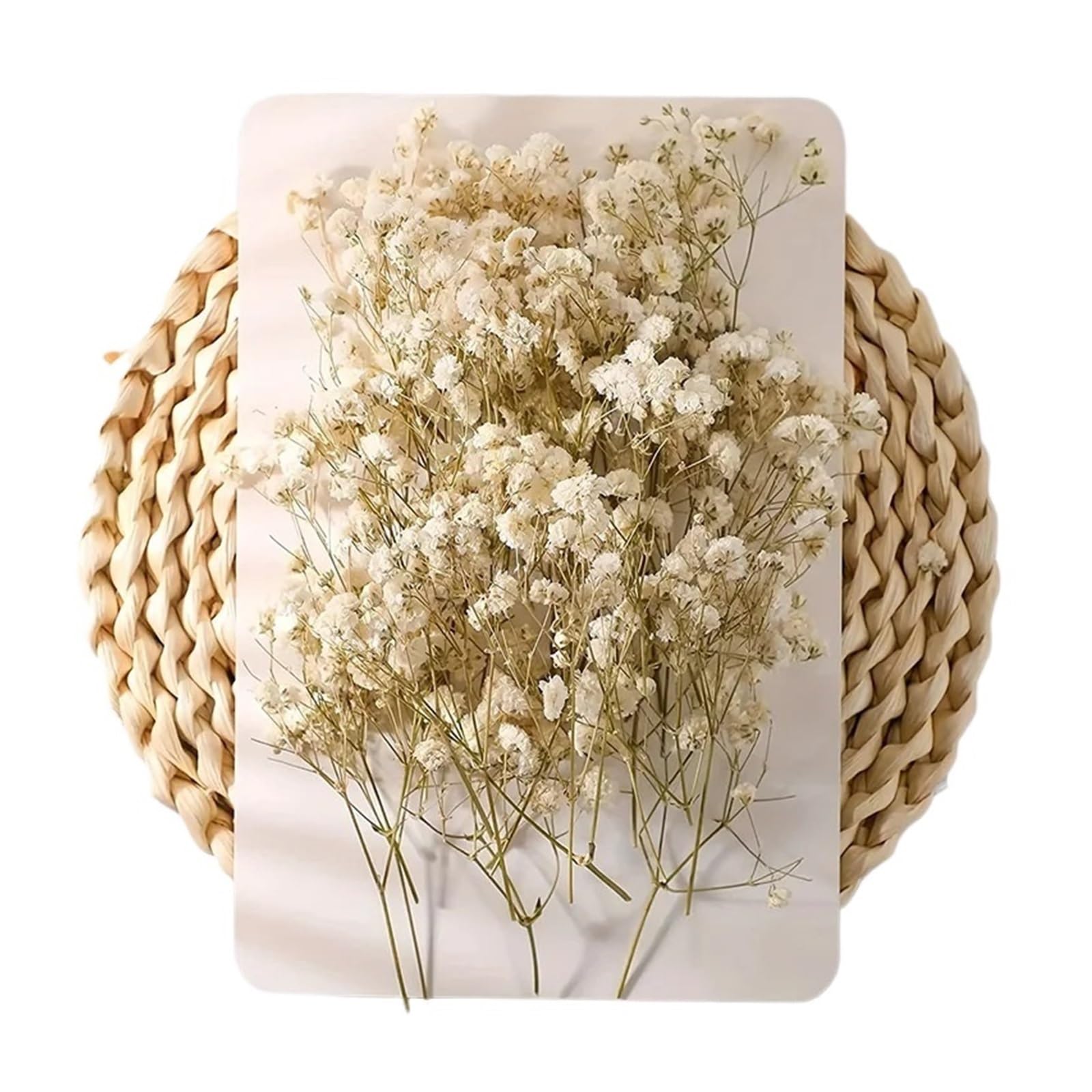 gypsophile séché Mini Fleurs séchées de Souffle bébé, 100 pièces, Naturelles sèches Gypsophila, Bricolage aromathérapie, Accessoire Photo for fête Mariage, Saint-Valentin(Color5)