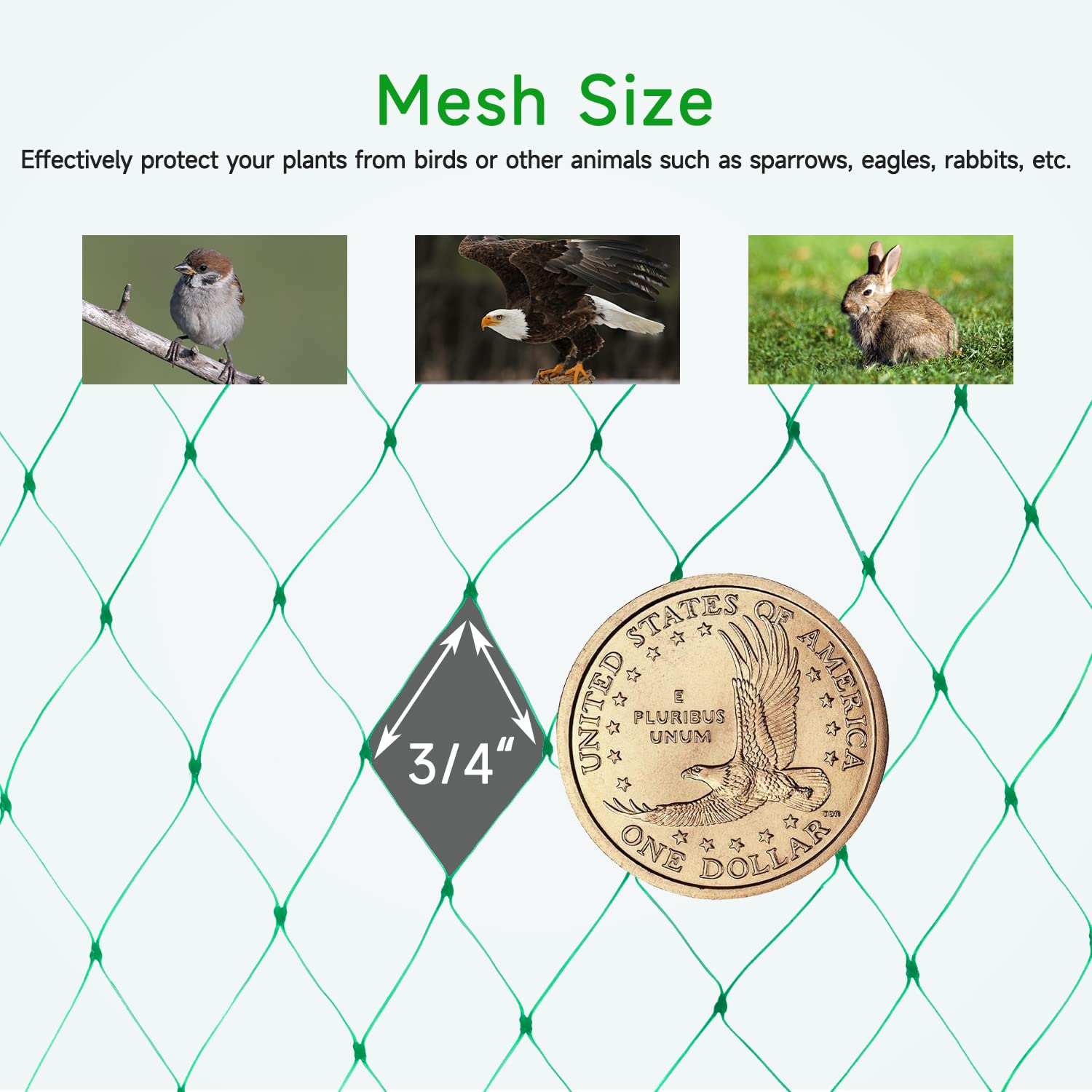 Snapklik.com : Bird Netting For Garden, 13x30ft, Protect Vegetable ...