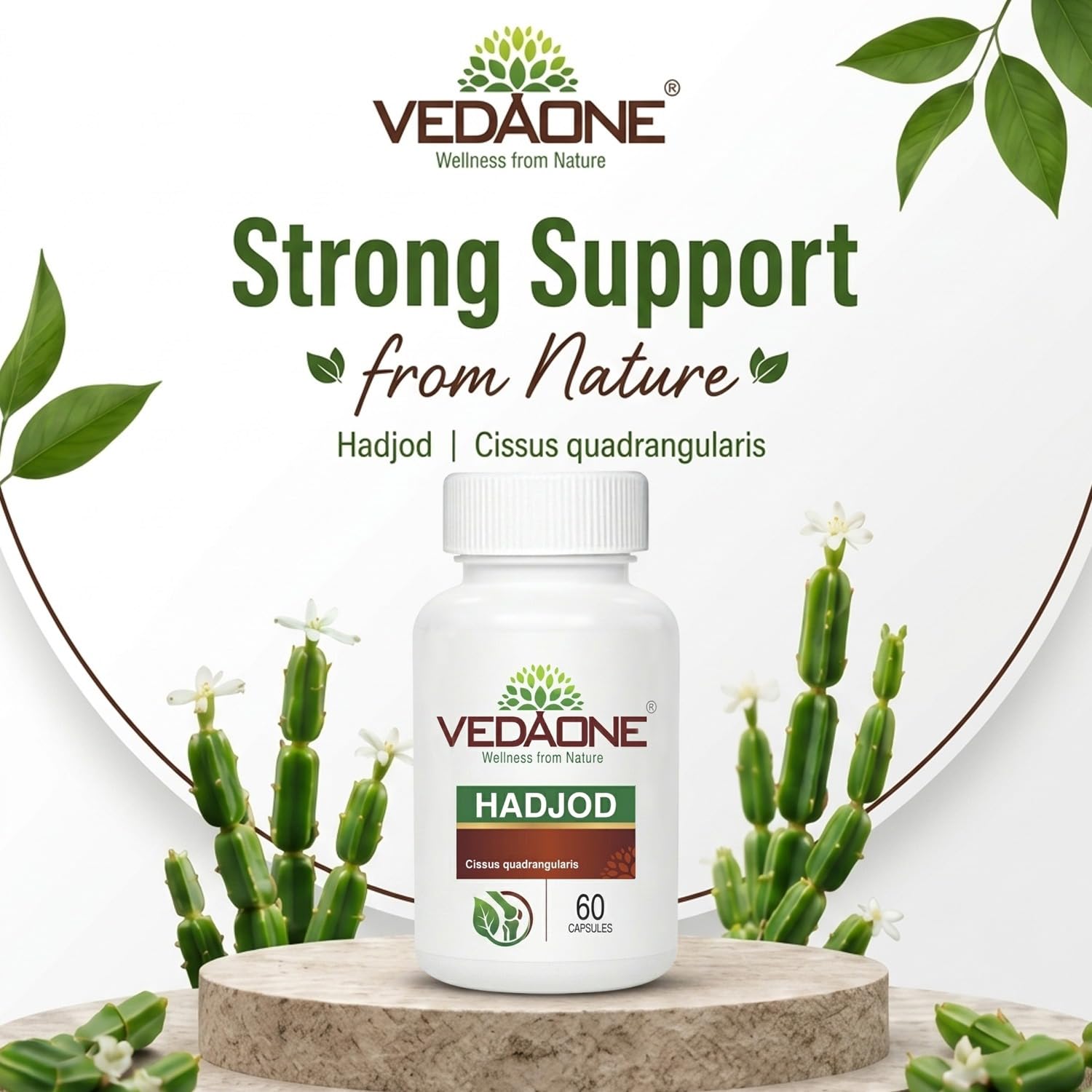 Vedaone Hadjod 450mg - 60 Capsule 2