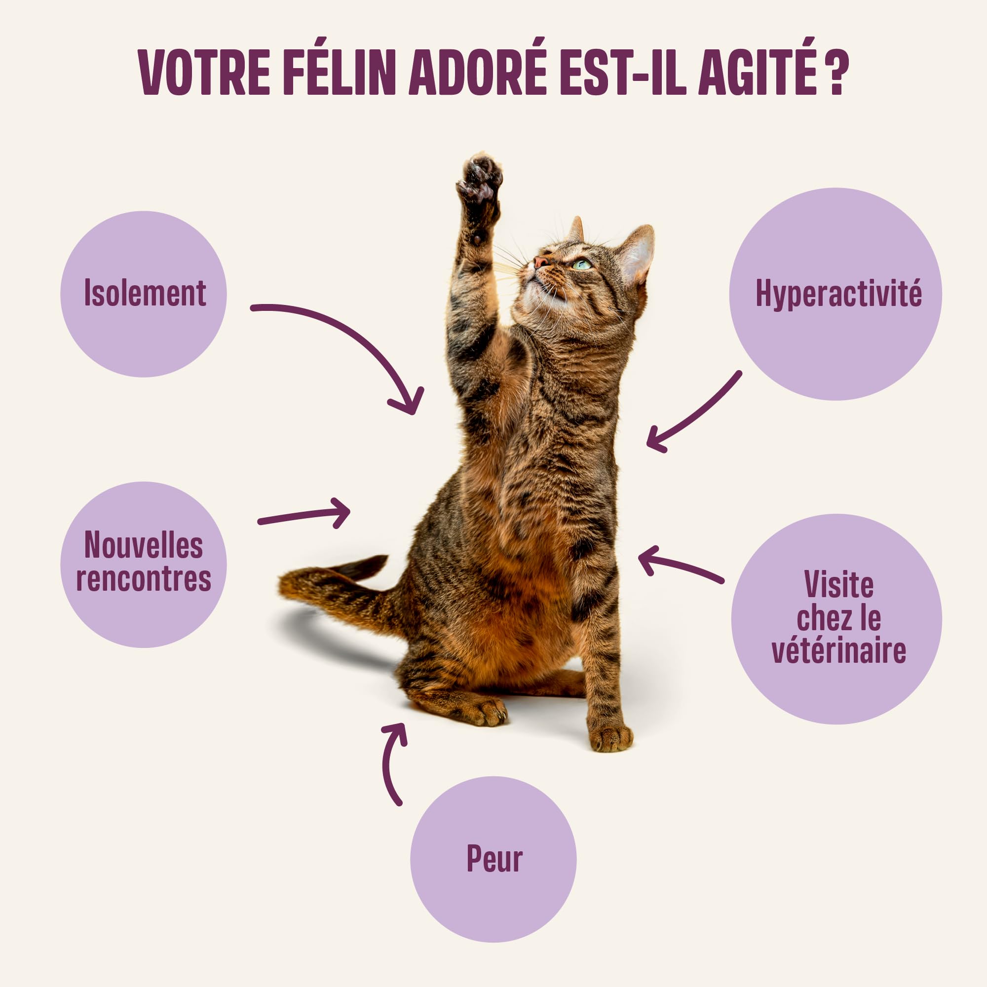 ivvi Calmant pour Chat Relax Essence – Crème à Lécher Anti-Stress Chat avec Camomille, L-Tryptophane & Magnésium – Soutien du Calme et du Bien-Être – 30 x 15g – au Vrai Thon