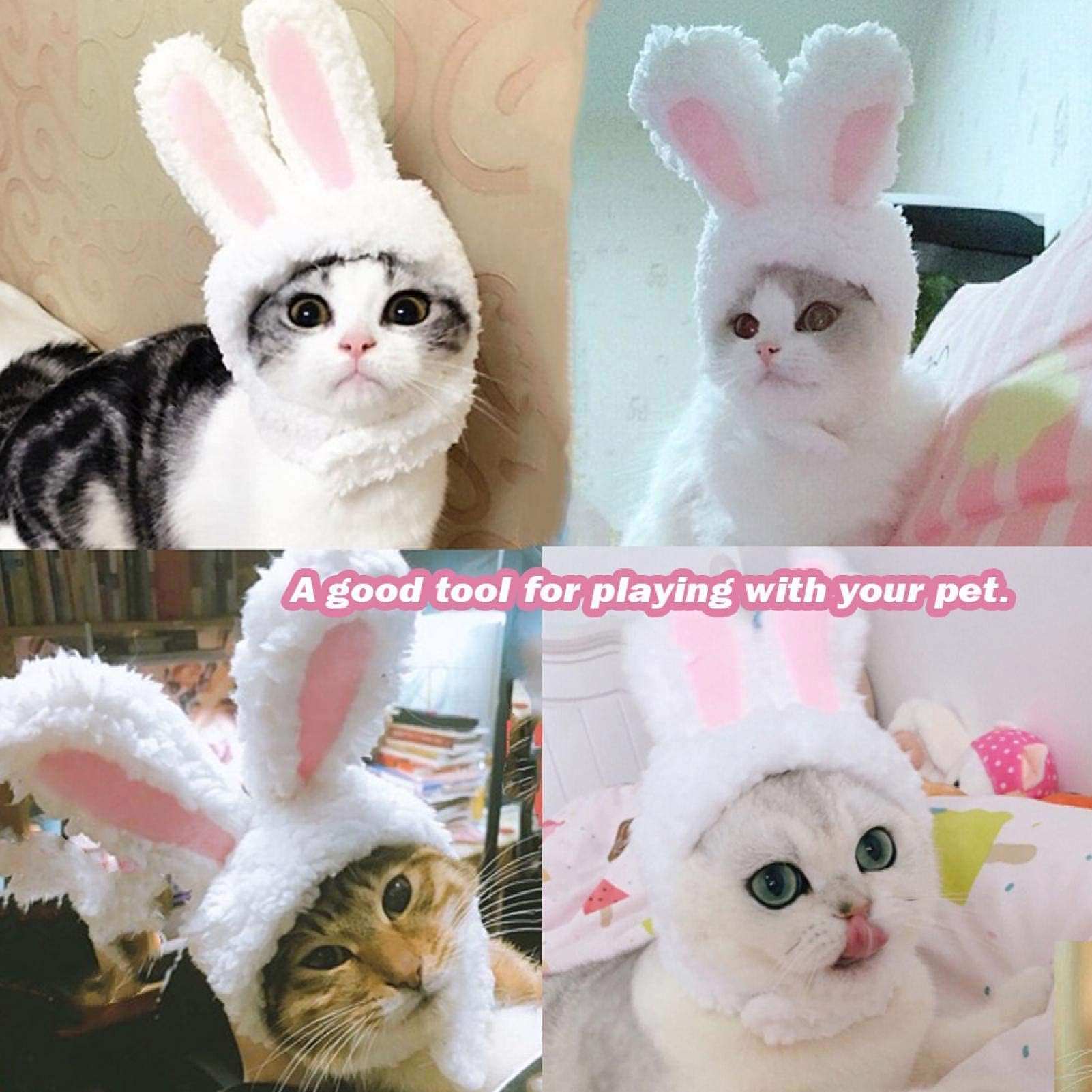 Chapeau Peluche Lapin Avec Oreilles Mobiles Pour Femmes Et Filles Accessoire De Photo Amusant