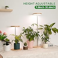 Vista 32 de LORDEM Grow Light, LED Plant Light for Indoor Plants Growing, Full Spectrum Desk Growth Lamp with Automatic Timer for 4H/8H/12H, 4 Dimmable Levels