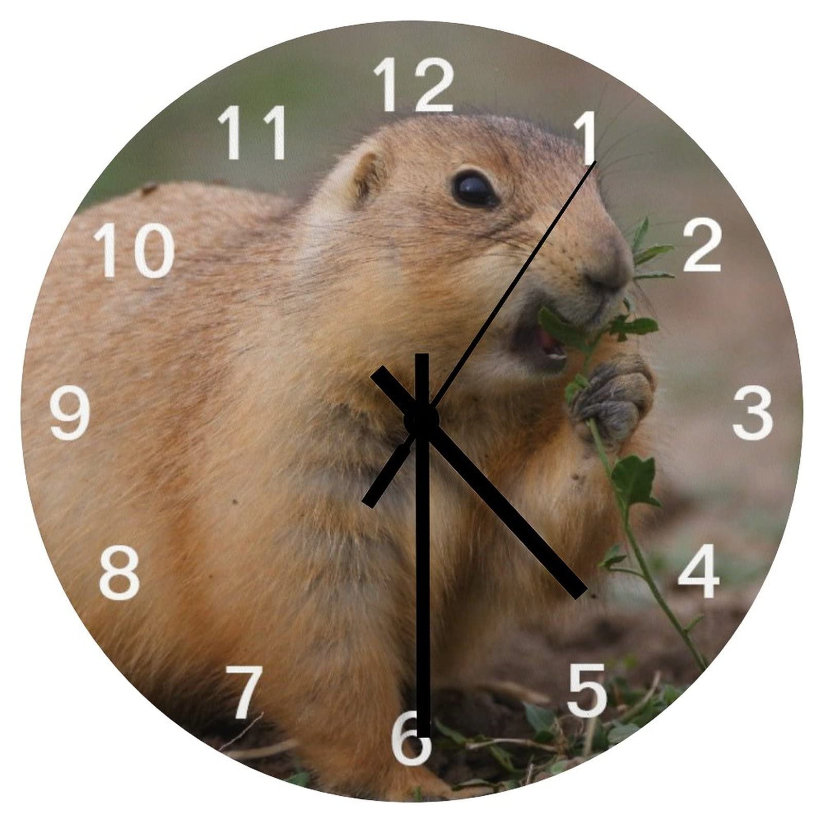 プレーリードッグの壁掛け プレーリードッグの壁掛け