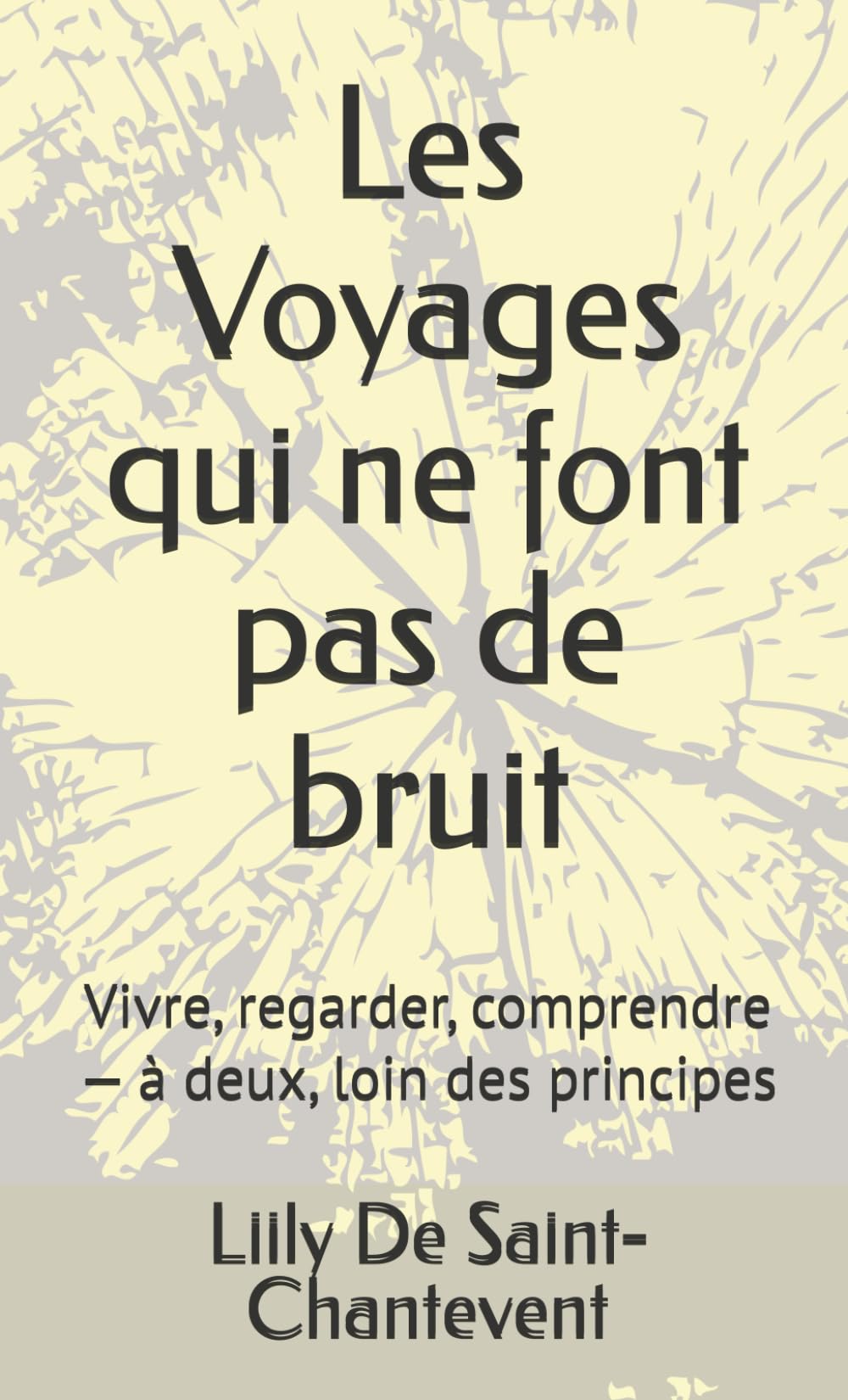 Les Voyages qui ne font pas de bruit: Vivre, regarder, comprendre — à deux, loin des principes