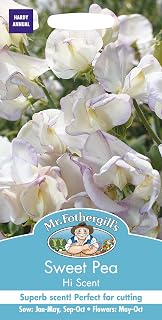 Mr. Fothergill's Hi Scent Sweet Pea Flower Seeds