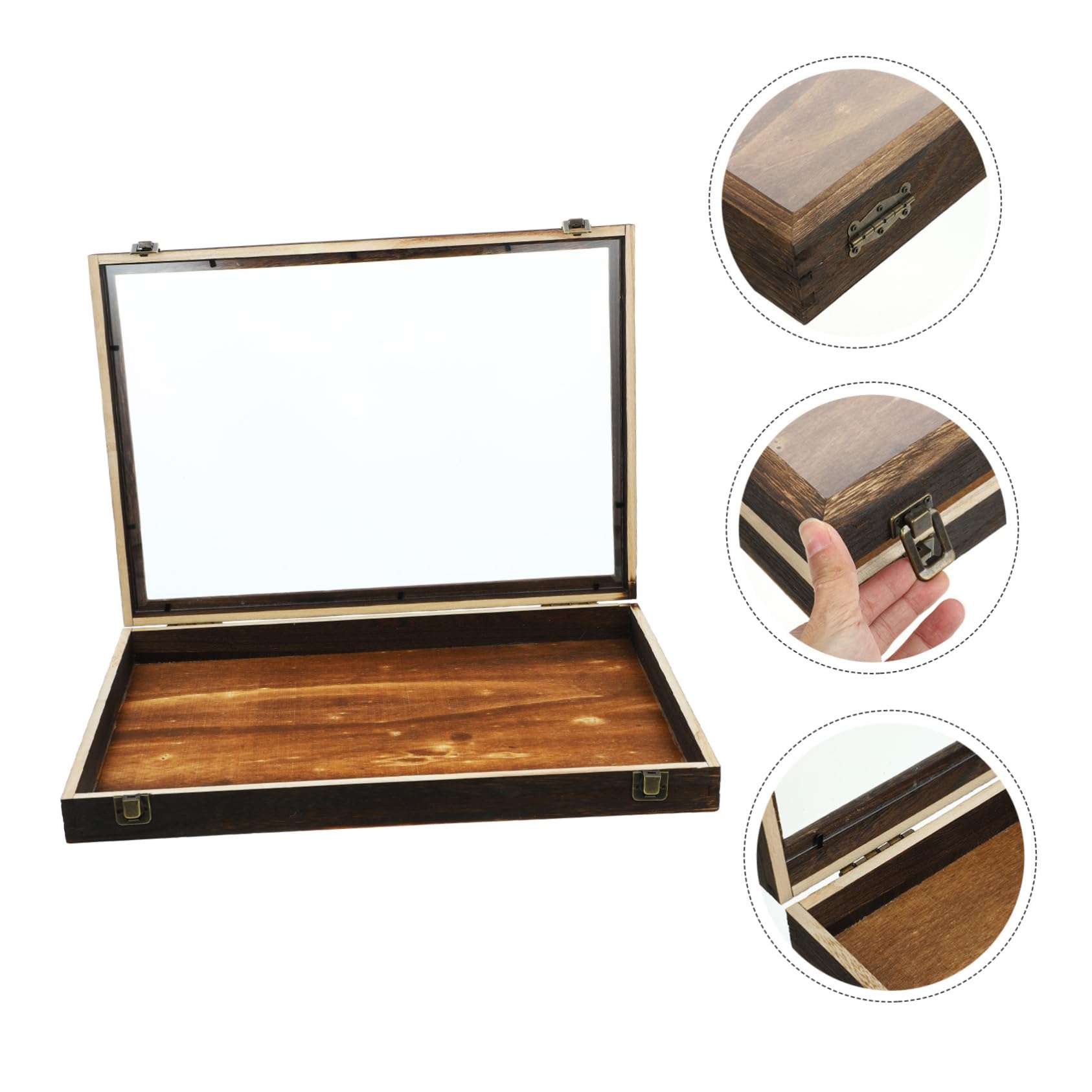 Cabilock Caja de Exhibición de Insectos Vitrina de Madera para Colgar Tapa Transparente Caja de Almacenamiento para Especímenes de Insectos Mariposas y Flores Secas
